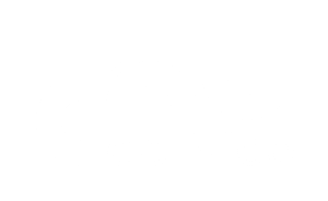 CHU DE NICE